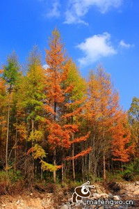 中国球队展现实力，球员势在必得争夺胜利