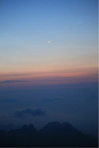 荷兰国脚转投英超球队，担任主力边锋