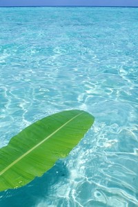 皇马取得胜利，欧冠王者宝座尽得？