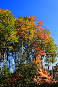 尤文再败，欧冠晋级之路跨不过去？