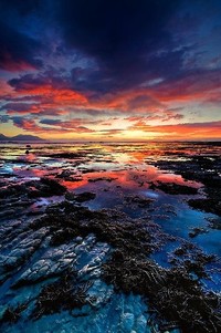 佛罗伦萨球员精彩盘带突破，助球队夺冠