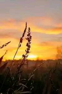 精彩时刻国内球队在国际赛场秀身手