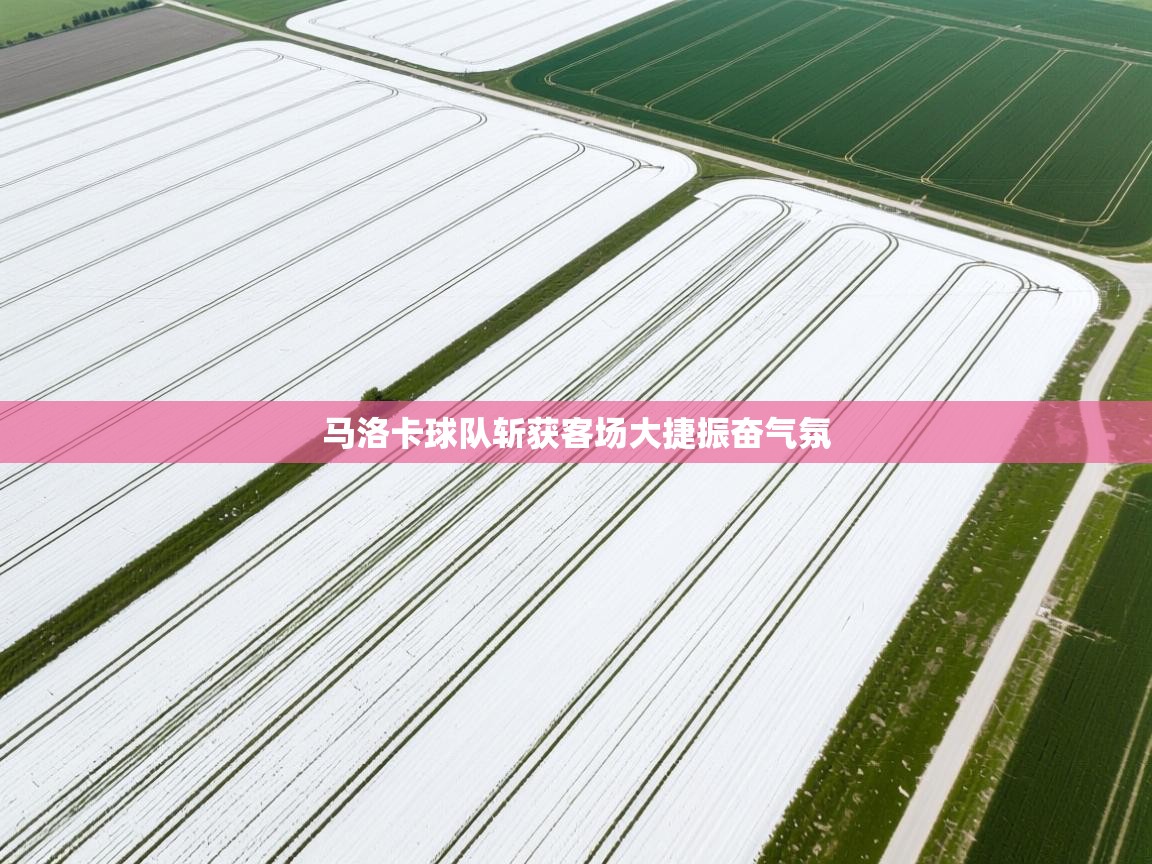 马洛卡球队斩获客场大捷振奋气氛  第2张