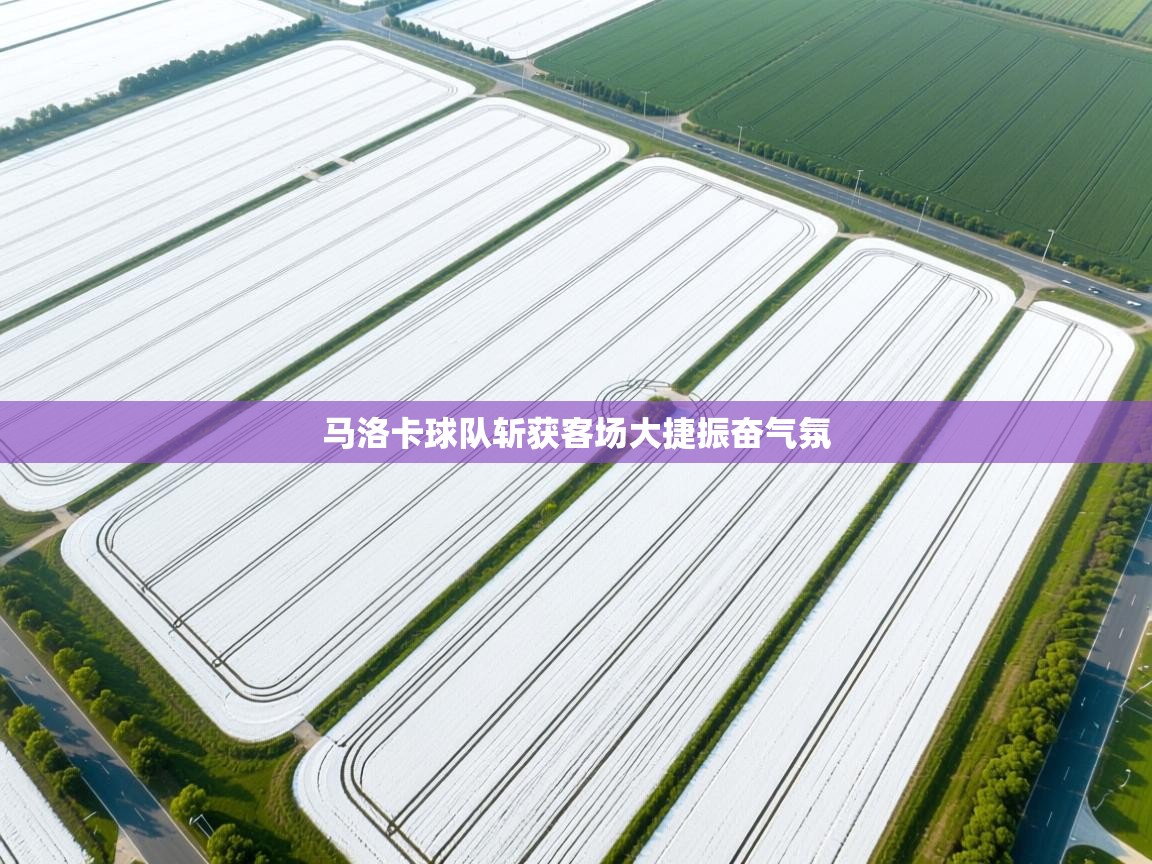 马洛卡球队斩获客场大捷振奋气氛  第1张