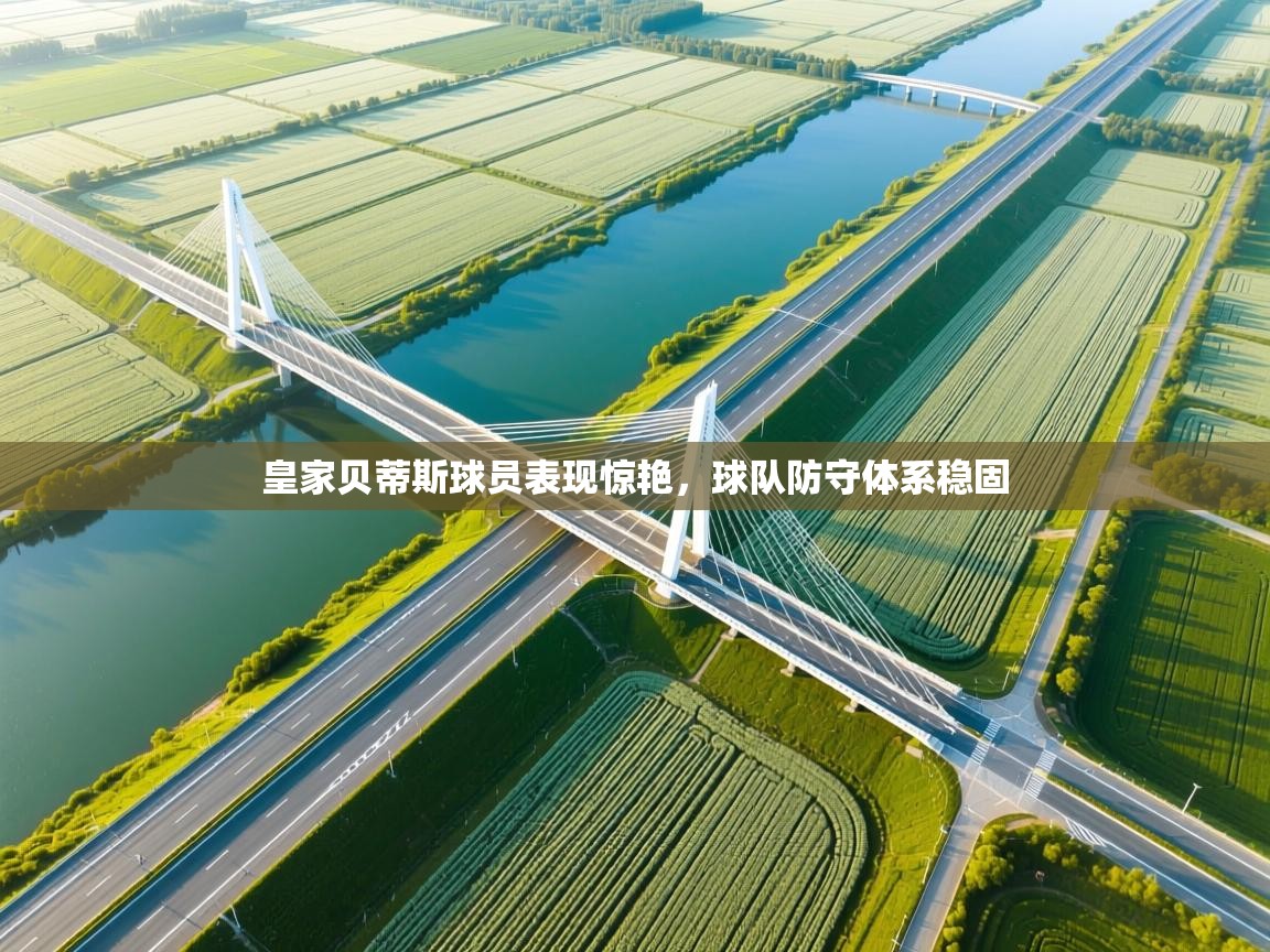 皇家贝蒂斯球员表现惊艳，球队防守体系稳固  第2张