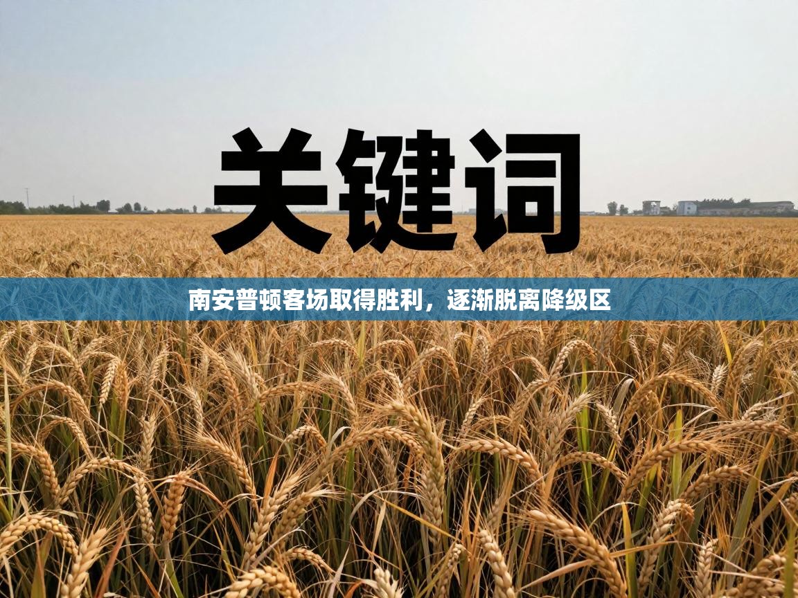 南安普顿客场取得胜利,逐渐脱离降级区 第1张