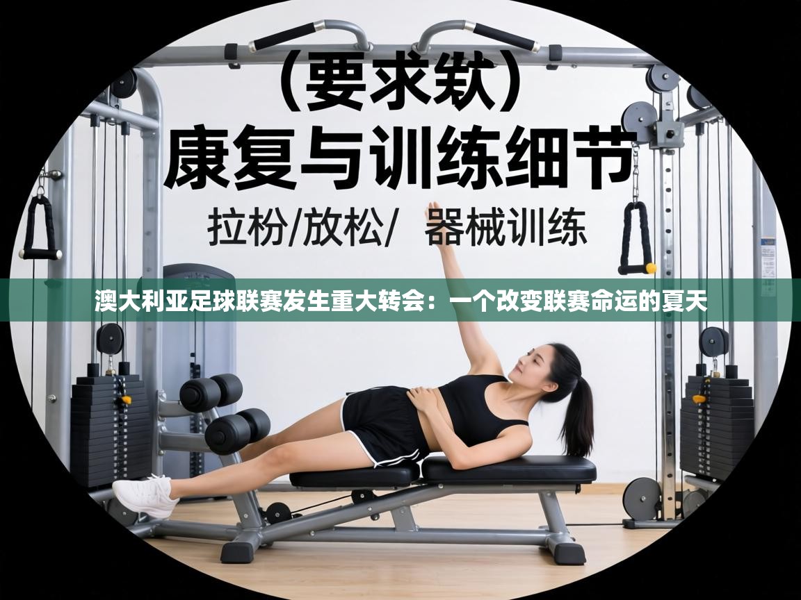 澳大利亚足球联赛发生重大转会:一个改变联赛命运的夏天 第2张